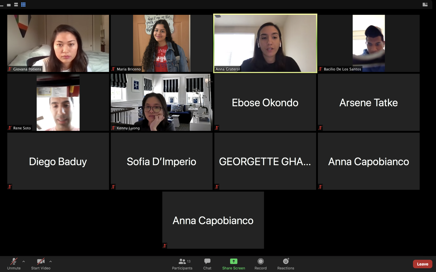 First Zoom meeting of ISA
